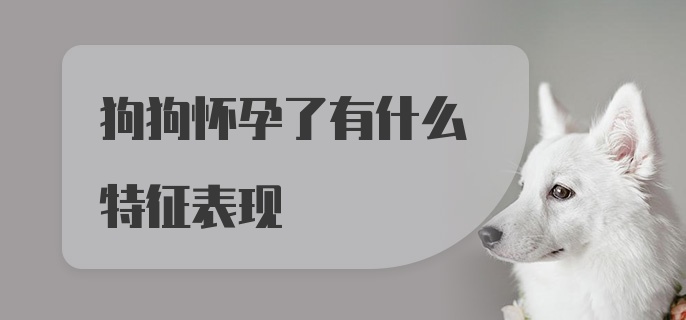 狗狗怀孕了有什么特征表现