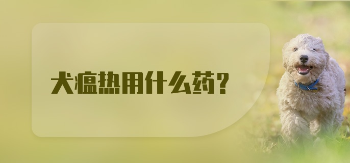 犬瘟热用什么药？