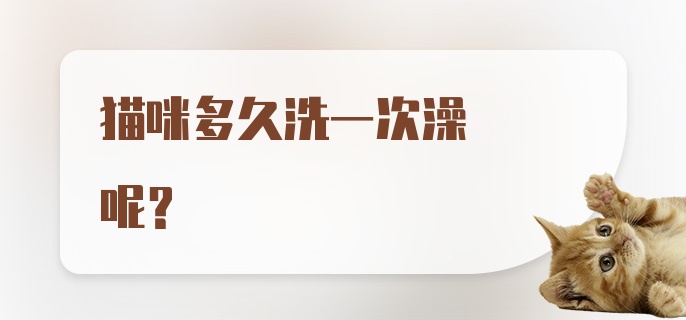 猫咪多久洗一次澡呢？