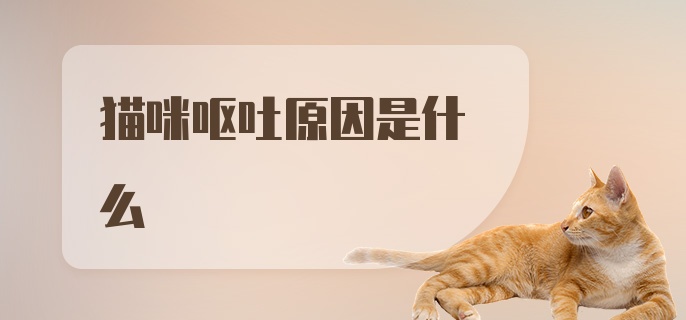 猫咪呕吐原因是什么