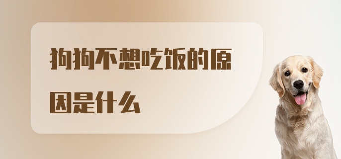 狗狗不想吃饭的原因是什么