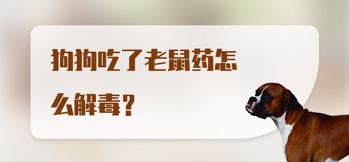 狗狗吃了老鼠药怎么解毒？