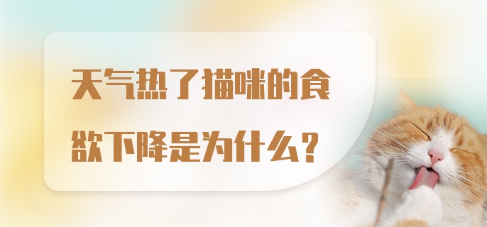 天气热了猫咪的食欲下降是为什么？