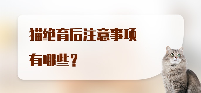 猫绝育后注意事项有哪些？