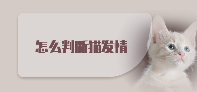 怎么判断猫发情