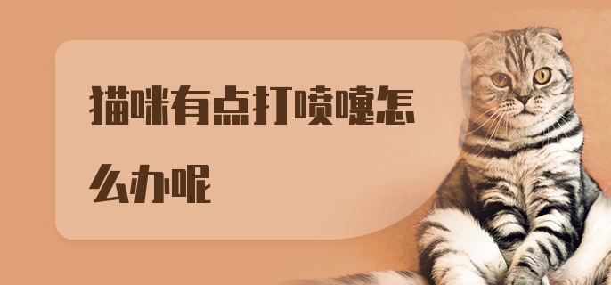 猫咪有点打喷嚏怎么办呢