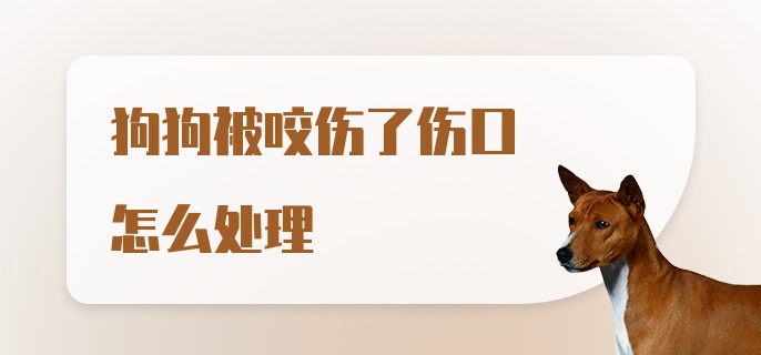 狗狗被咬伤了伤口怎么处理