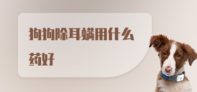 狗狗除耳螨用什么药好