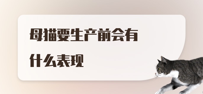 母猫要生产前会有什么表现