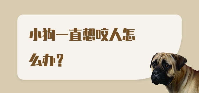 小狗一直想咬人怎么办？