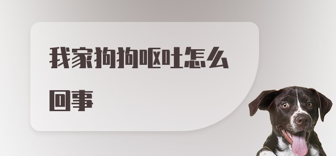 我家狗狗呕吐怎么回事