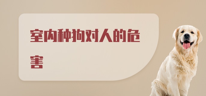 室内种狗对人的危害