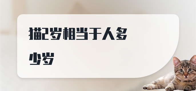 猫2岁相当于人多少岁