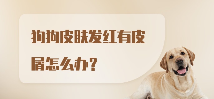 狗狗皮肤发红有皮屑怎么办？