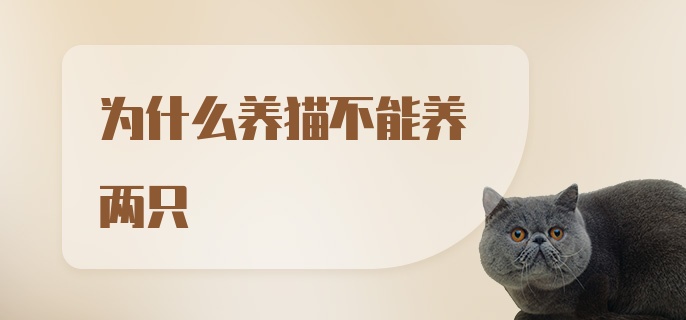 为什么养猫不能养两只