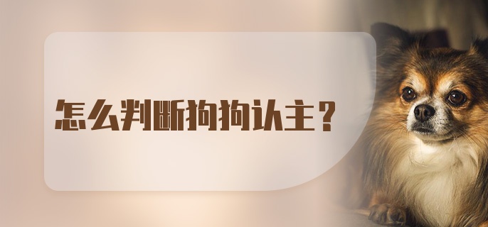 怎么判断狗狗认主？