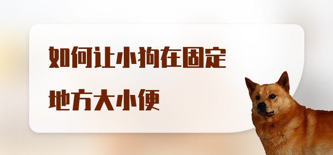 如何让小狗在固定地方大小便