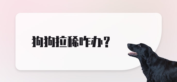 狗狗拉稀咋办？