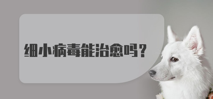 细小病毒能治愈吗？