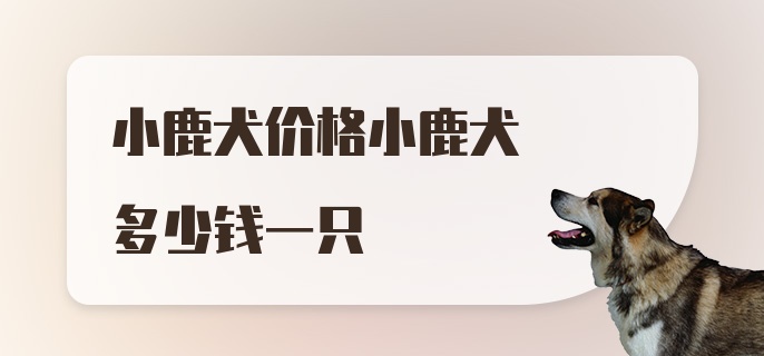 小鹿犬价格小鹿犬多少钱一只