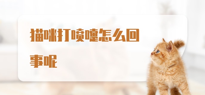 猫咪打喷嚏怎么回事呢