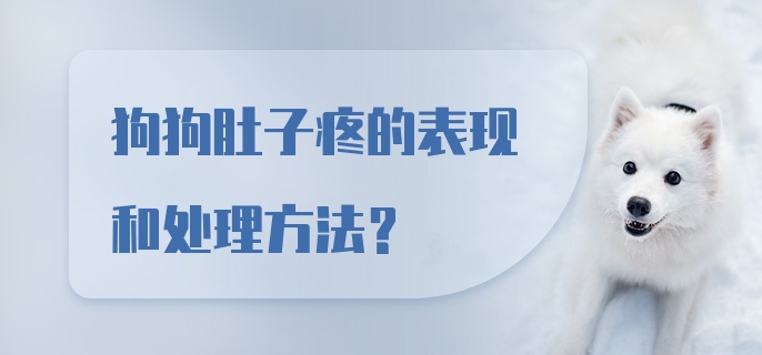 狗狗肚子疼的表现和处理方法？