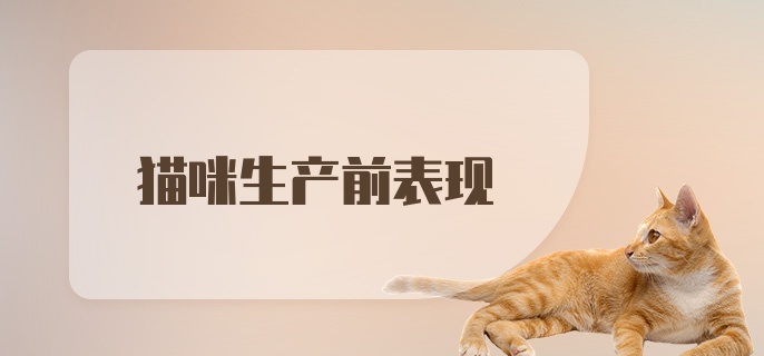 猫咪生产前表现