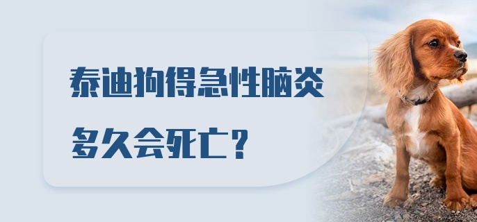 泰迪狗得急性脑炎多久会死亡？