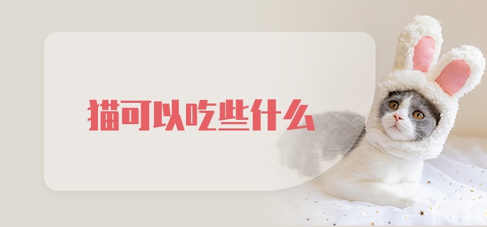 猫可以吃些什么