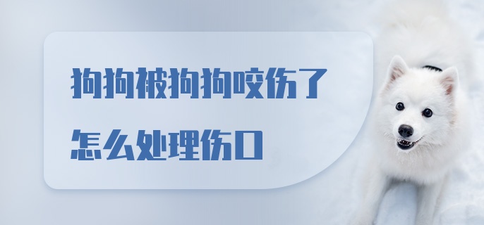 狗狗被狗狗咬伤了怎么处理伤口