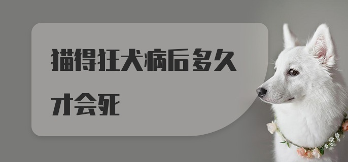 猫得狂犬病后多久才会死