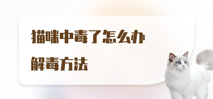 猫咪中毒了怎么办解毒方法