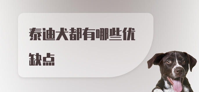 泰迪犬都有哪些优缺点