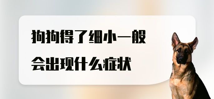 狗狗得了细小一般会出现什么症状