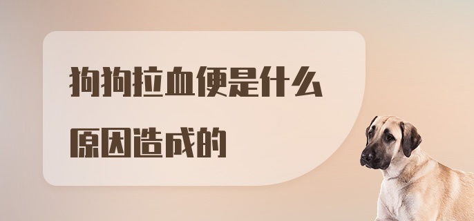 狗狗拉血便是什么原因造成的