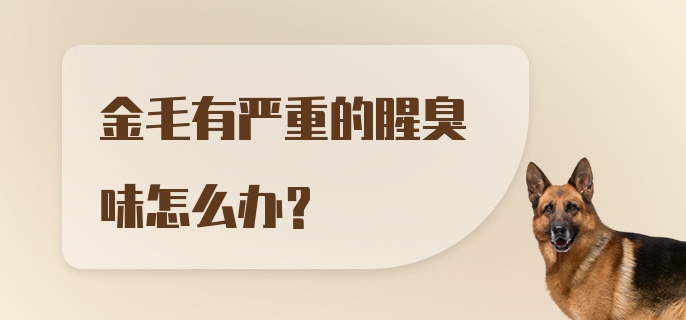 金毛有严重的腥臭味怎么办？