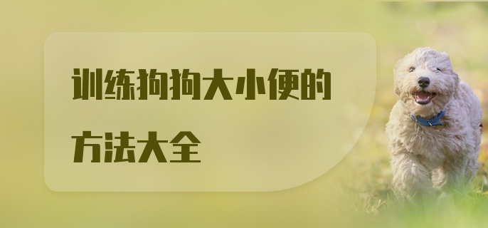 训练狗狗大小便的方法大全