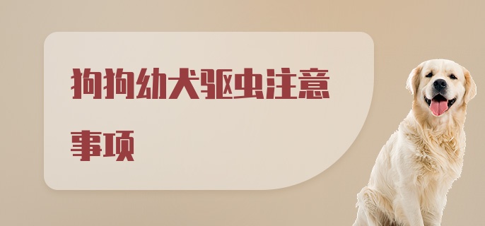 狗狗幼犬驱虫注意事项