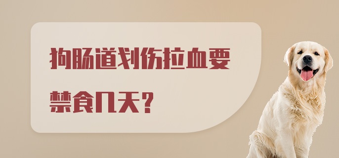 狗肠道划伤拉血要禁食几天？