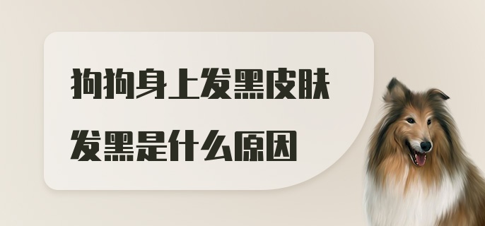 狗狗身上发黑皮肤发黑是什么原因