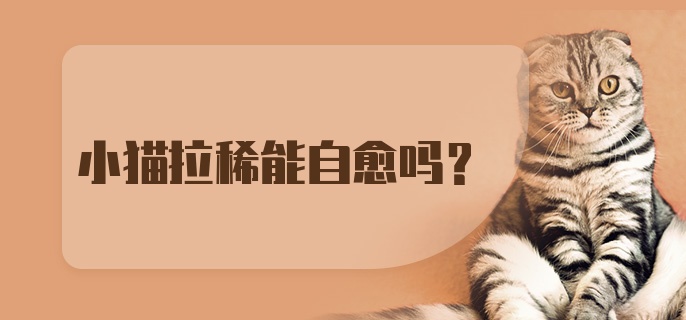 小猫拉稀能自愈吗?