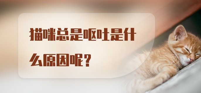 猫咪总是呕吐是什么原因呢？