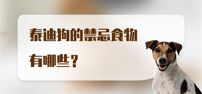 泰迪狗的禁忌食物有哪些?