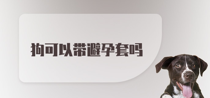 狗可以带避孕套吗