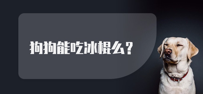 狗狗能吃冰棍么？