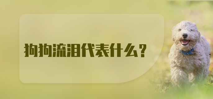 狗狗流泪代表什么?