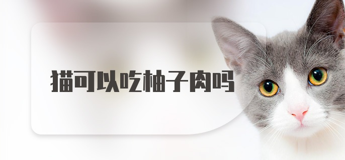 猫可以吃柚子肉吗