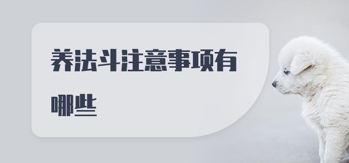 养法斗注意事项有哪些