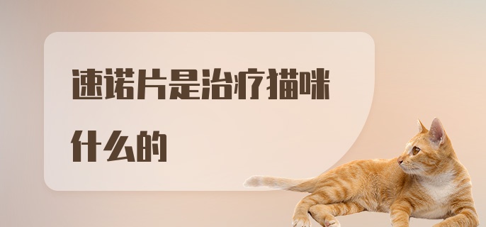 速诺片是治疗猫咪什么的