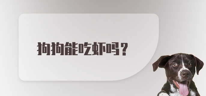 狗狗能吃虾吗?